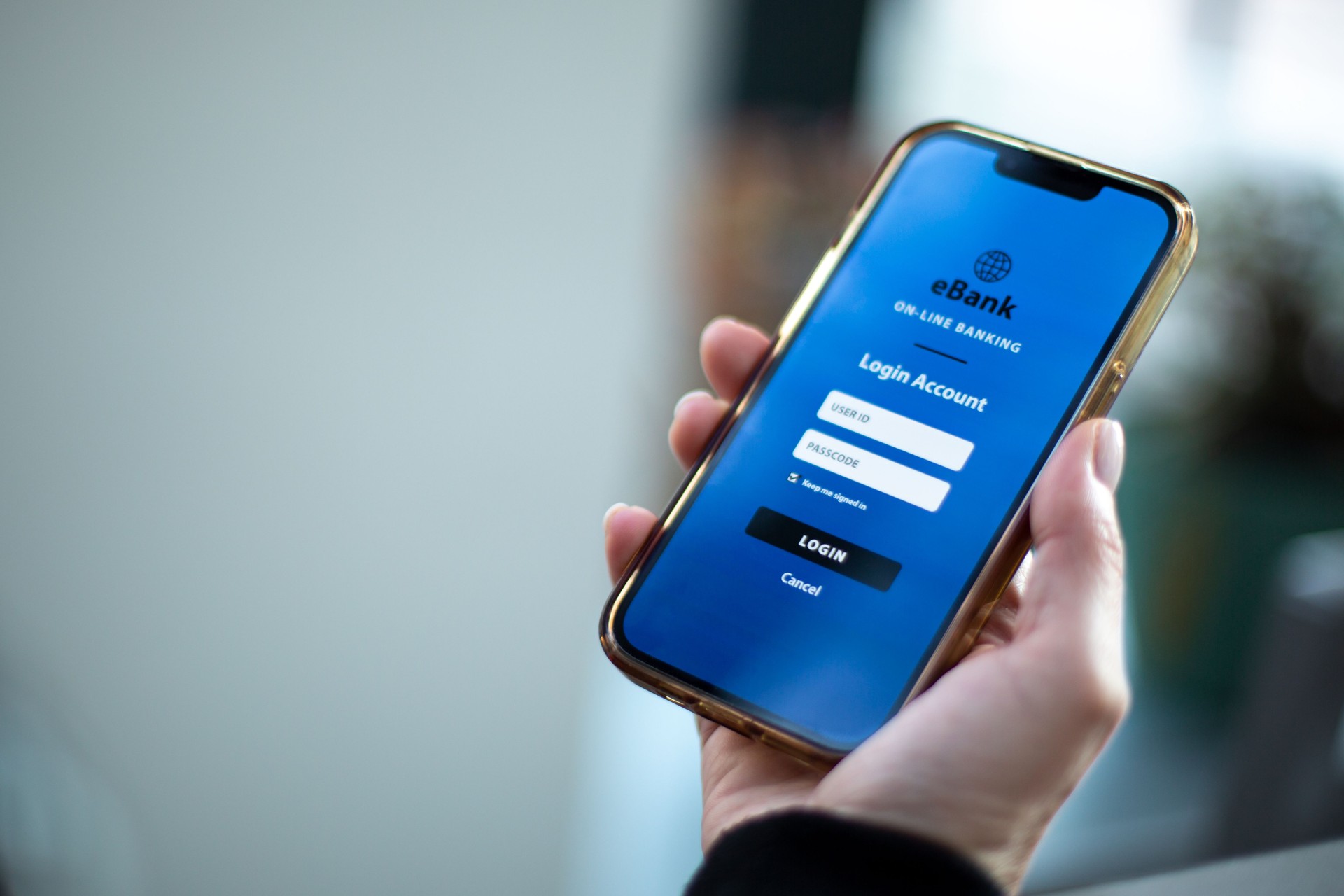 On-Line Banking electronic bank mobile app concept